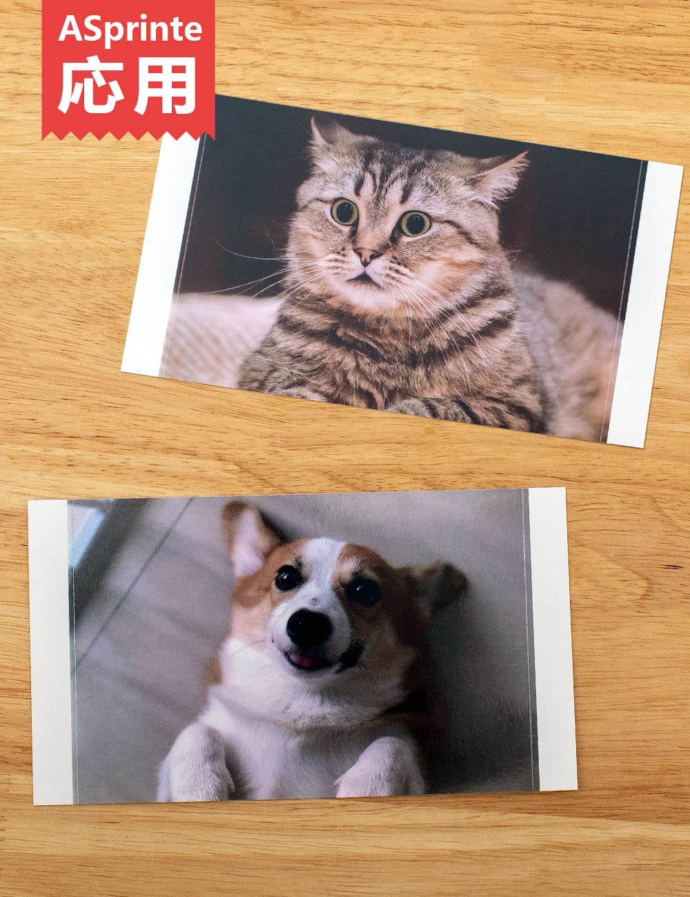 108枚 100x148mm カラーインクカ/ペーパーカセット KP-108IN 光沢紙 と互換性のある キャノン canon SELPHY CP1500 CP1300 CP1200 インク 写真用紙